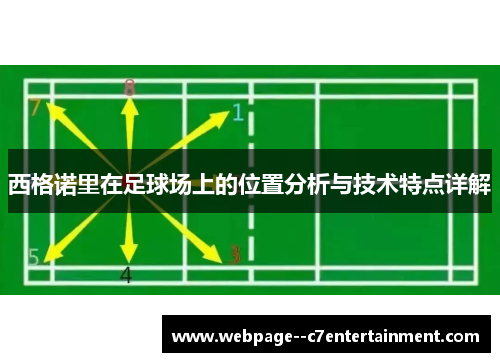 西格诺里在足球场上的位置分析与技术特点详解
