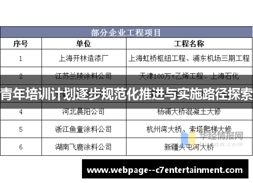 青年培训计划逐步规范化推进与实施路径探索